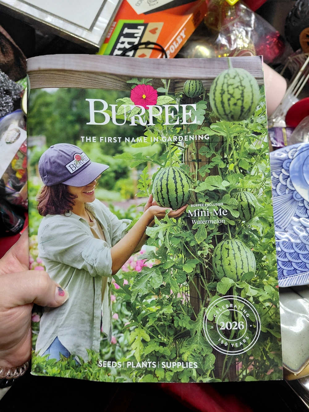 Mini Me Watermelon Catalog - Green